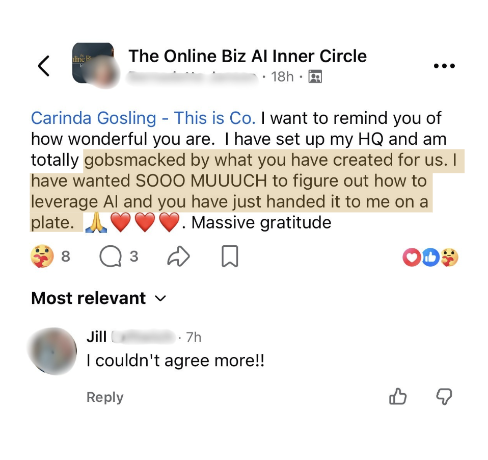 A member's post: I have set up my HQ and am totally gobsmacked by what you have created for us. I have wanted SOOO MUUUCH to figure out how to leverage AI and you have just handed it to me on a plate. Massive gratitude